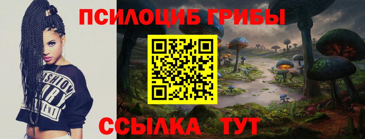 Галлюциногенные грибы мухоморы Шатура