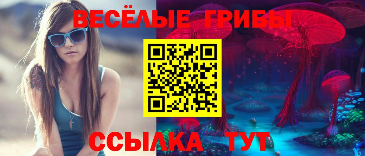 Псилоцибиновые грибы GOLDEN TEACHER  Вход с VPN  Шатура 